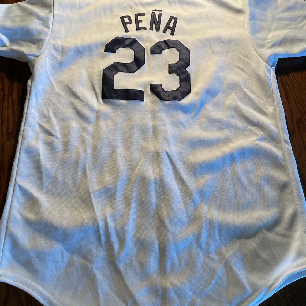 Tampa Bay Rays Carlos Peña jersey.